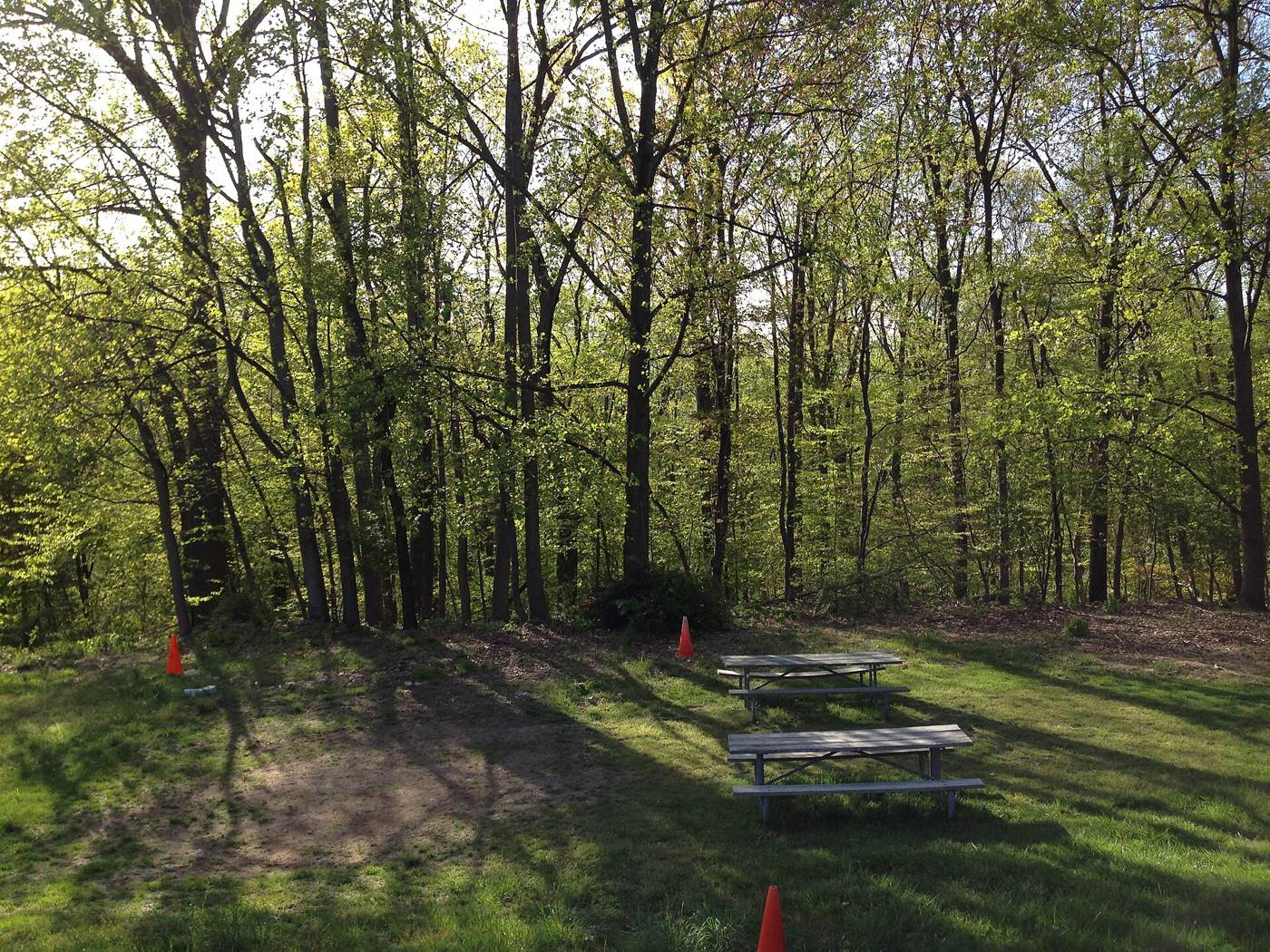 A smartphone left on a picnic table in a park while people relax